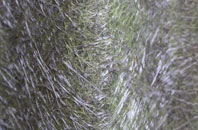 St Giles In The Wood fibreglass roof work